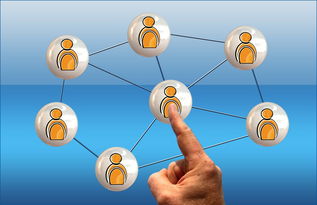 开云官方网-2024年国际乒联混合团体世界杯：德国队顽强拼搏，2024世乒赛