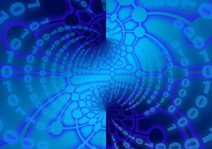 开云体育官网下载-杨瀚森助攻数据稳步提升展示全能属性，杨翰笙个人介绍  第2张